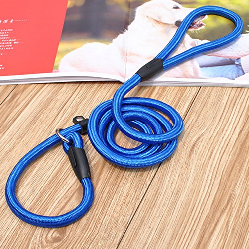 Buy Blue, M Nylon Adjustable Training Lead Pet Dog Leash Dog Strap