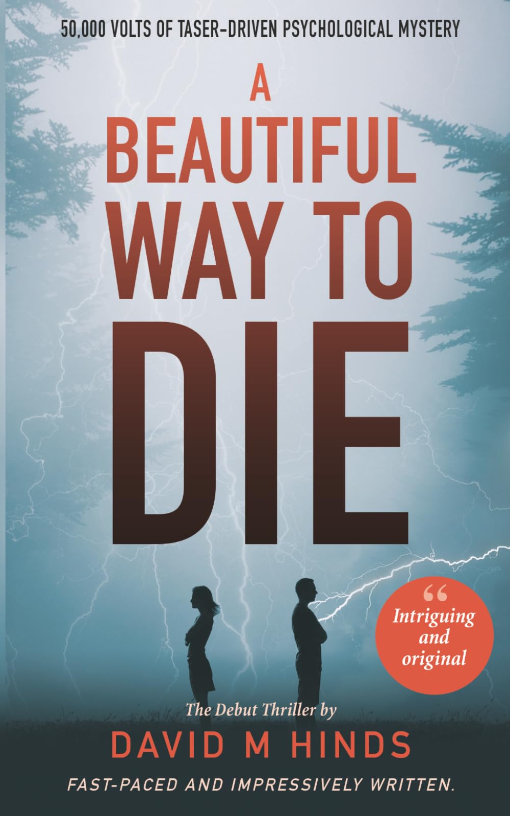 A Beautiful Way To Die: A thriller-esque debut novel with a psychological edge
