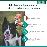 Ver la foto 3