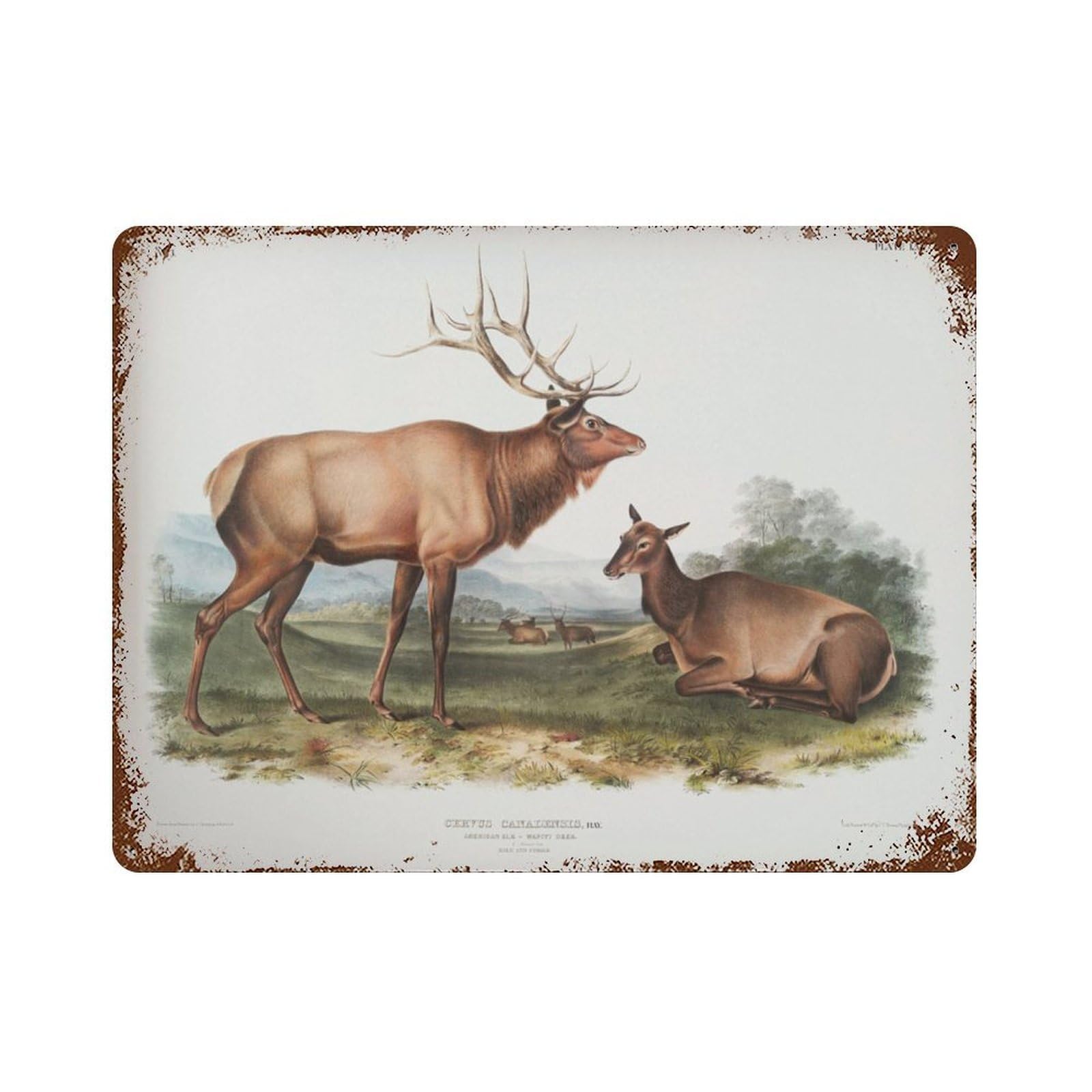 xiaoxiaoshen Vintage Moose Woodland Nursery Decor Wall Decor Art Metal Tin Poster Modern Home Decor Art Home Bar Shop Decorations Vintage Sign 30x40cm