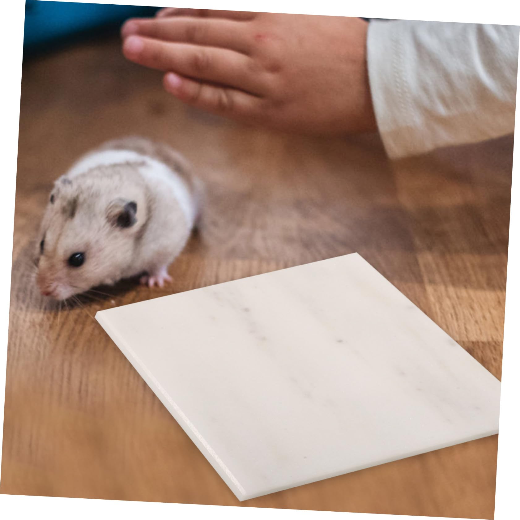 BESTonZON Tappetino Refrigerante per Conigli e Criceti in Marmo Naturale, Senza Congelamento, Riciclabile, per L'Estate e Piccoli Animali Domestici