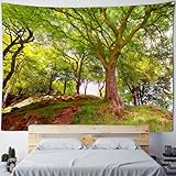 タペストリー 気分転換 布ポスター 掛け物 窓カーテン 新居祝い 贈り物 吊り布 壁の装飾 アート 大判 インテリア 自然風景 壁掛け 緑の並木 木漏れ日の森