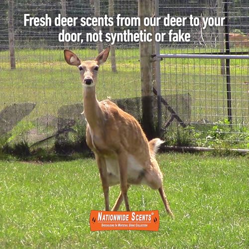 Nationwide Scents Certified Peak Doe Estrus Spray | 4 oz | 1 Bottle | Doe in Heat Urine for Hunting | Deer Scents and Attractants