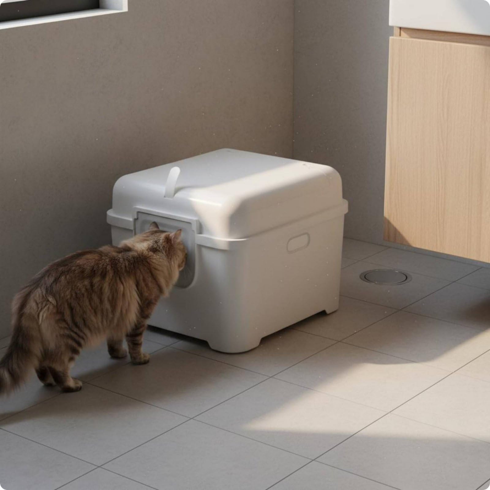 Inodoro para Gatos Recipiente Sanitario Arenero Caja Hermética con Diseño Cerrado Amplia Entrada y Filtro Que Ayuda a Contener Olores Adecuado para el, Azul Cielo