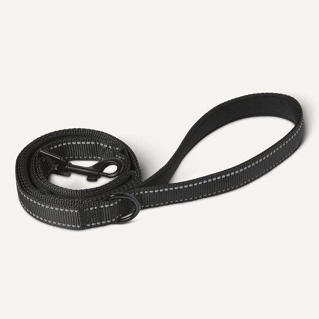 Foto 4 de 5 de Amazon Basics Correa para Perros con Dos Asas Acolchadas y Anillo en D de 121.9cm