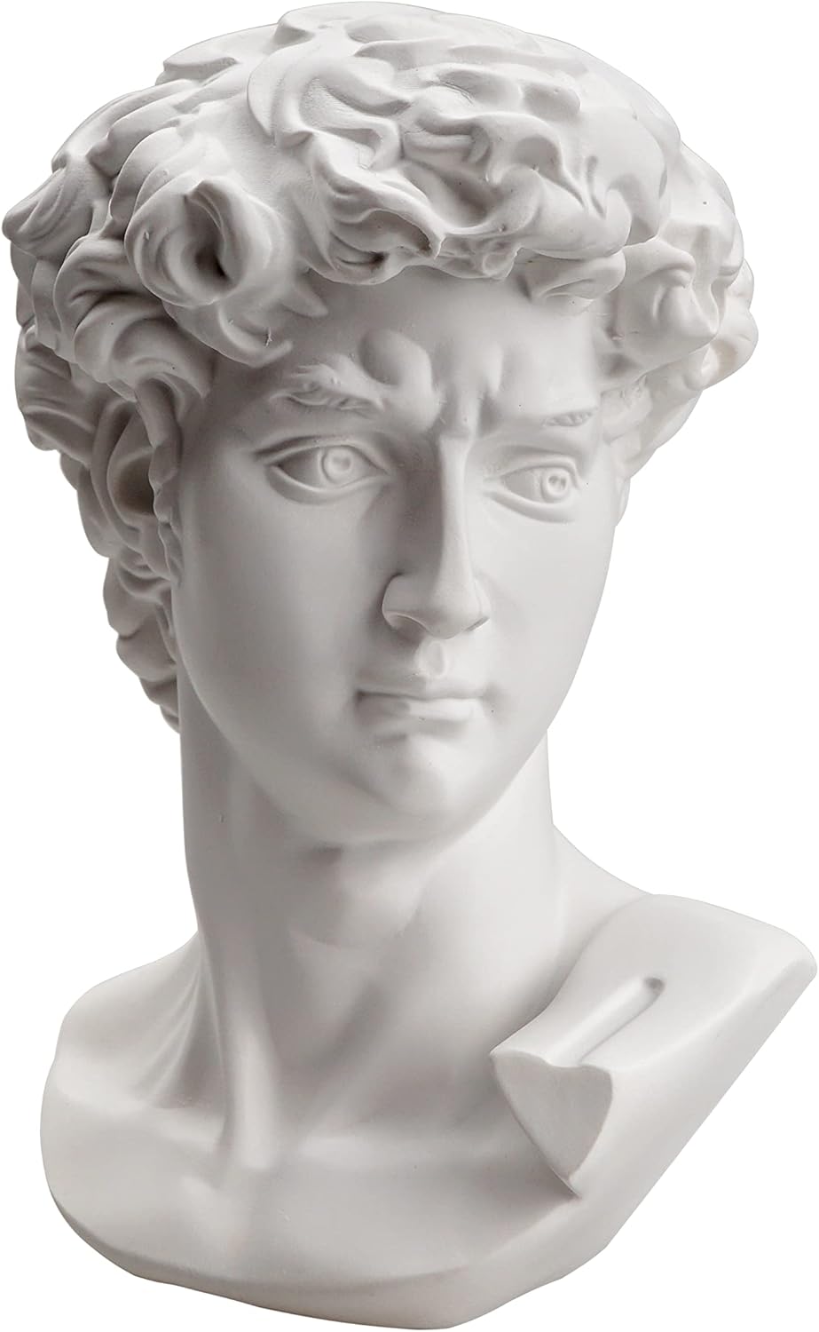 Waldosia 6 Inch Michelangelo's David Bust Statue (White