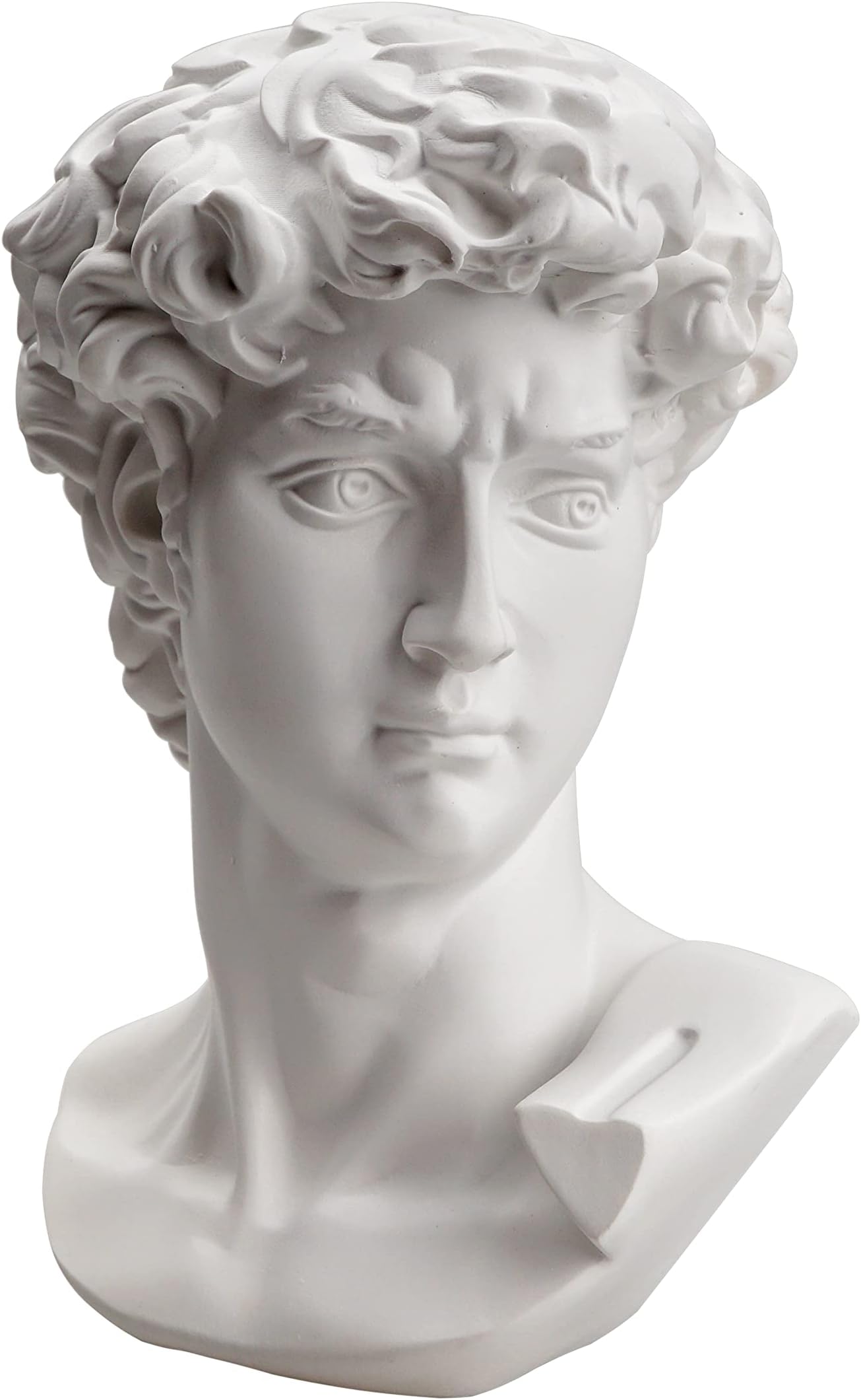 Waldosia 6 Inch Michelangelo's David Bust Statue (White)