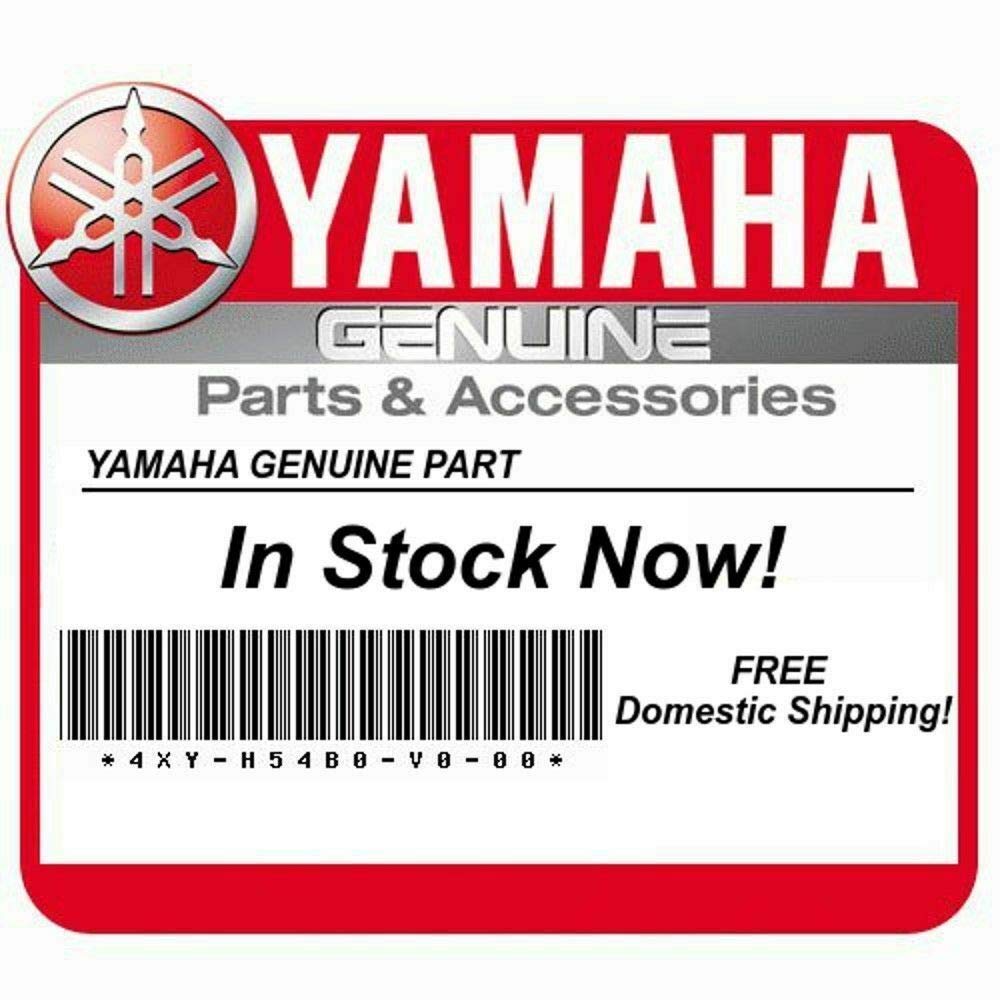 Amazon.com: Ski-Doo New OEM Screw-Hex.Cap Din.93 207162060 
