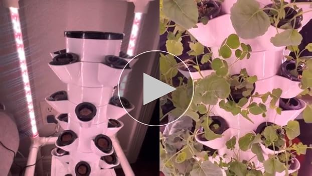 botanical☆ Amazon.com : SJZX Hydroponics Growing System, Hydroponic