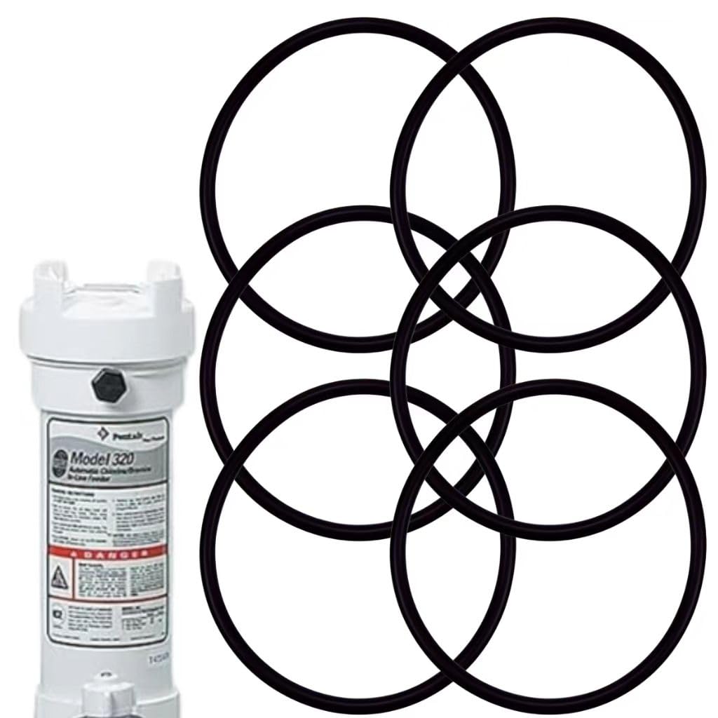 R172009 O-Ring para Pentair Modelo 300 y 320 para piscina 6 unidades