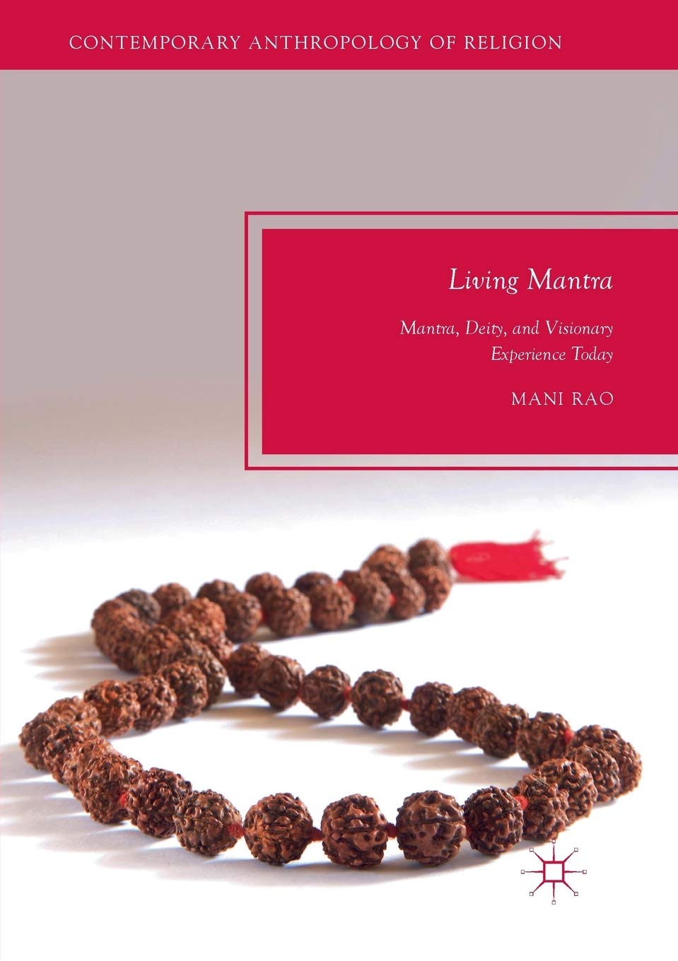 Living Mantra: Mantra, Deity, and Visionary Experience Today (Contemporary Anthropology of Religion)