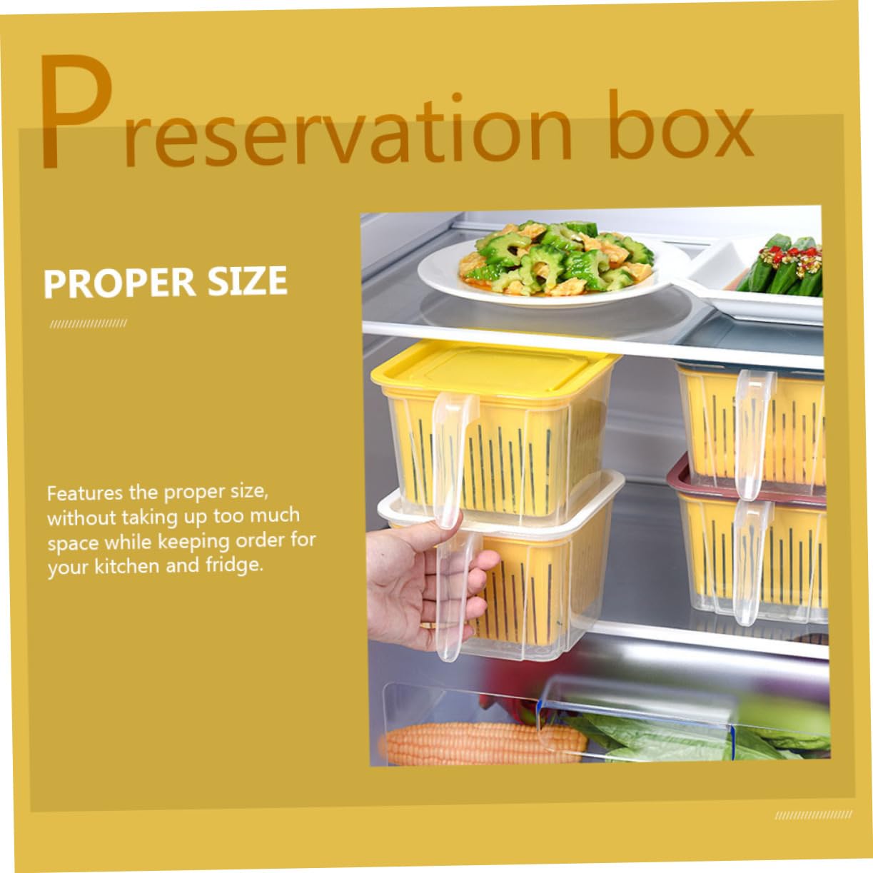 Ciieeo 2 scatole doppie versatili per alimenti, accessori da cucina per verdure fresche e frutta, design di drenaggio mantiene il cibo asciutto e nutriente per frigorifero contenitori organizer