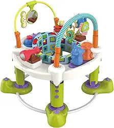 Maxi Baby Ginasio Centro de Atividades Infantil Gira 360 Zoo