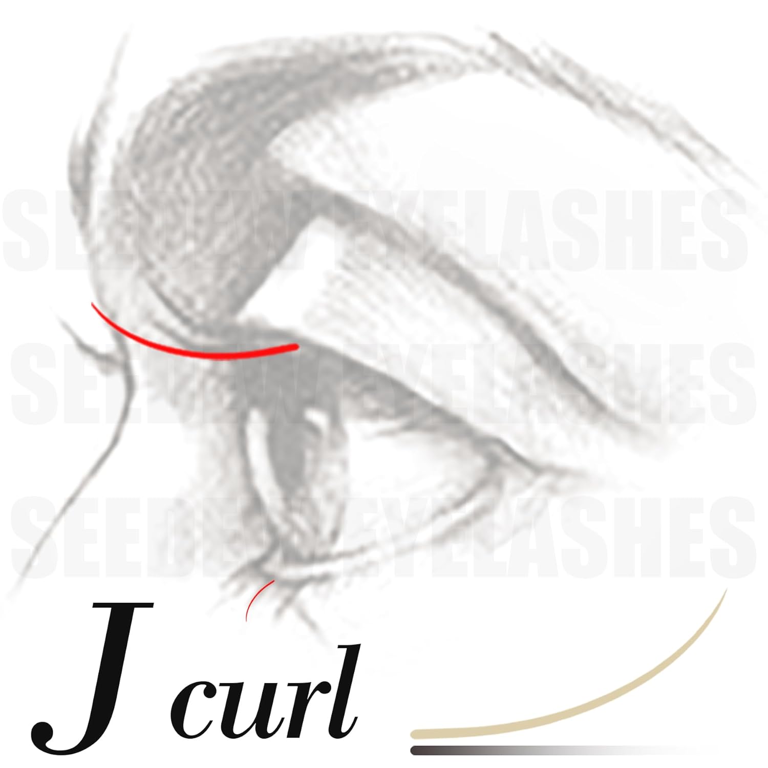 Bottom J Curl + W-6D D Curl, 2 Pieces, J+D Curl, 0.10mm+0.07mm, MIX5-7mm + MIX8-15mm, Black, Eyelash Extensions, for Professional/Beginner Lash Artists, Combination Sale(J+D 0.10+0.07 MIX5-7+MIX8-15)