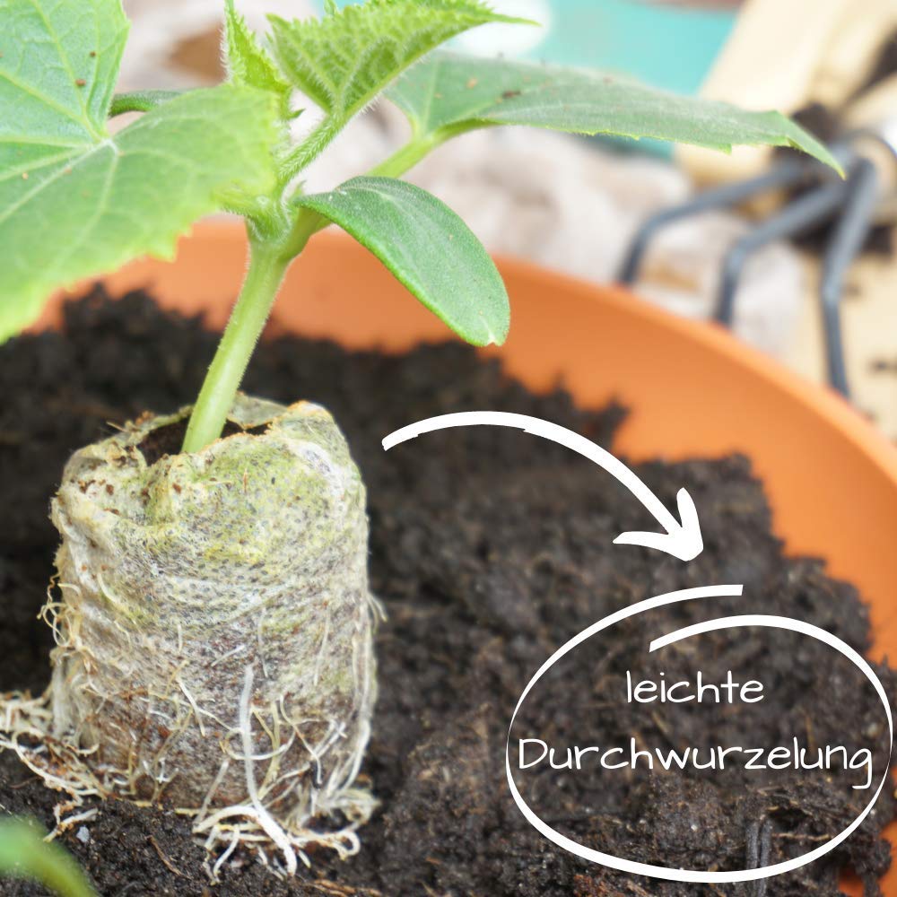 GROW by Terriccio per piante verdi e palme senza torba 20 l