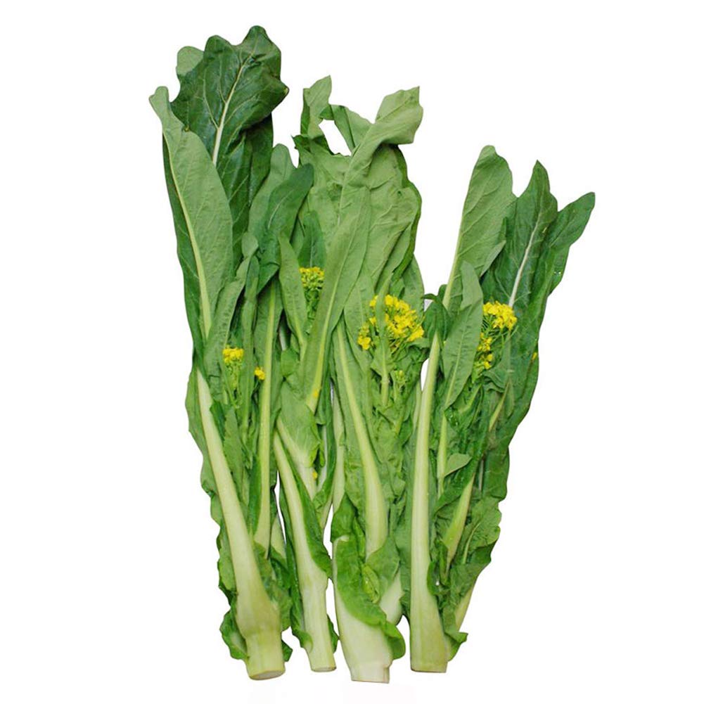 VibeX Organic Easy to Grow Vegetables Chinese Cabbage Seeds-250 Seeds (B0BBGQ9KBQ) Amazon Price History, Amazon Price Tracker
