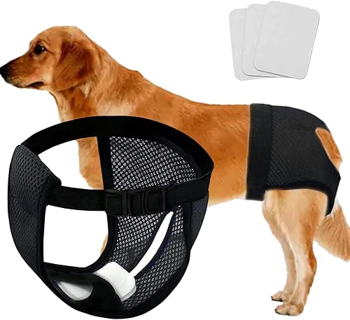 Every Pet - Pañales reutilizables con 3 pañales de repuesto, almohadillas sanitarias lavables de malla transpirable para perros, pañales para