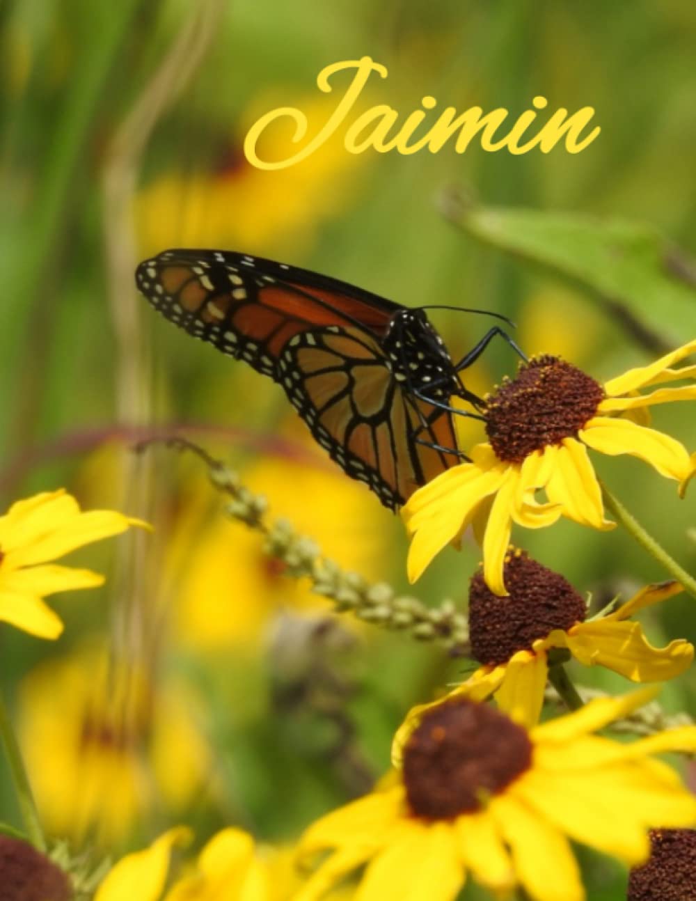 Jaimin's Journal