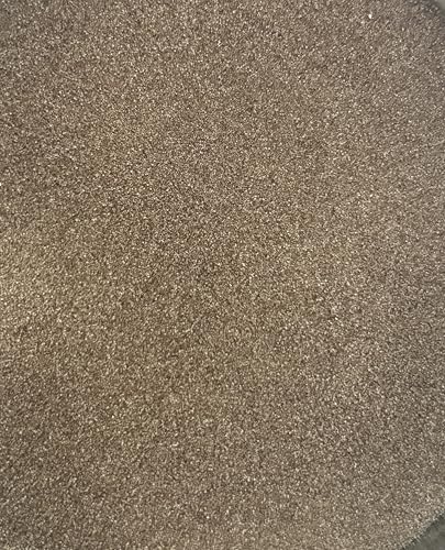 Sanders Artemia Huevos Great Salt Lake, camarones de primera calidad, 95% de alta calidad (30 g)