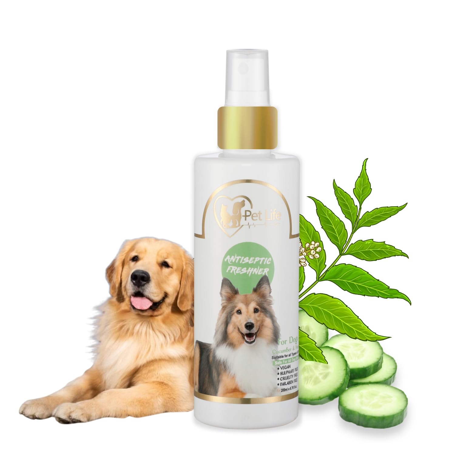See full amazon price history chart for Petlife Antiseptic Freshener Spray For Golden Retriever Dog&Puppy|Odor Eliminator,Safe Deodorizer,Dog Coat Smell,Body Bad Odor-Safe&Effective Pet Friendly Formula For All Dog Breed-200Ml Petlife Antiseptic Freshener Spray For Golden Retriever Dog&Puppy|Odor Eliminator,Safe Deodorizer,Dog Coat Smell,Body Bad Odor-Safe&Effective Pet Friendly Formula For All Dog Breed-200Ml (B0B6D63G9K) Amazon Price History, Amazon Price Tracker