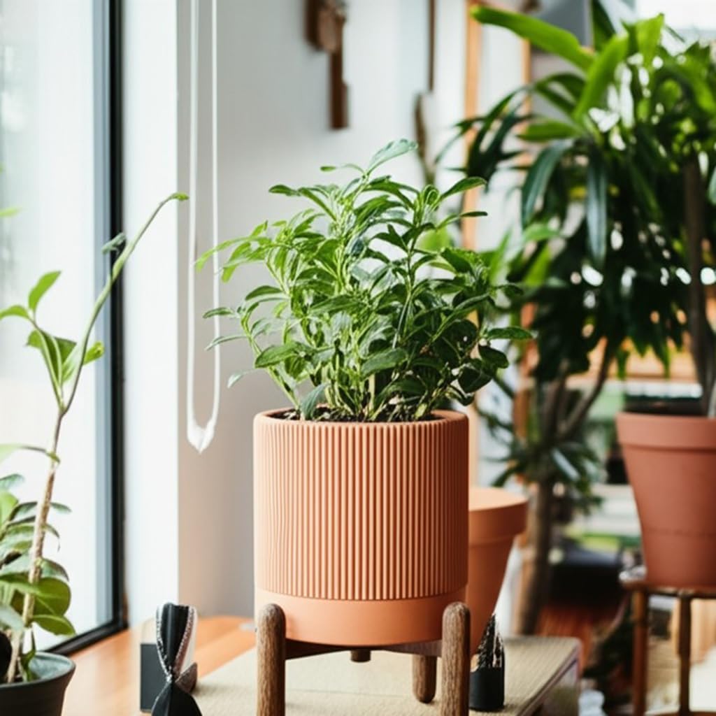 Large Terracotta Pots, 8 Inch Clay Planter Pots with Drainage Hole & Saucer (with Stand), Garden Planters for Indoor/Ourdoor Plants, Cactus & Snake Plant