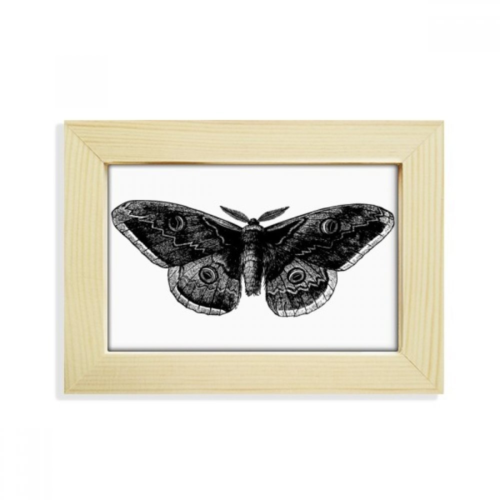 Marco de madera de cometa mariposa negra de 5x7 pulgadas para fotos