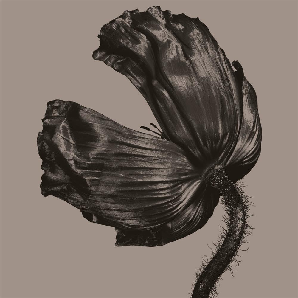 Release (2017 Remaster) [VINYL]