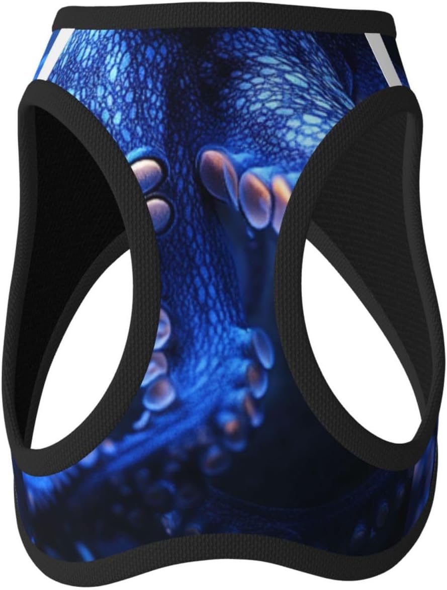 Anthropomorphic Octopus Pet Vest Small Size Dog Harness and Leash Set, Reflective & Breathable for Puppy Training with Accessories Small