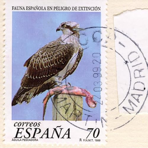 Spain on Edge: Inside a Nation Deeply Polarized cover art