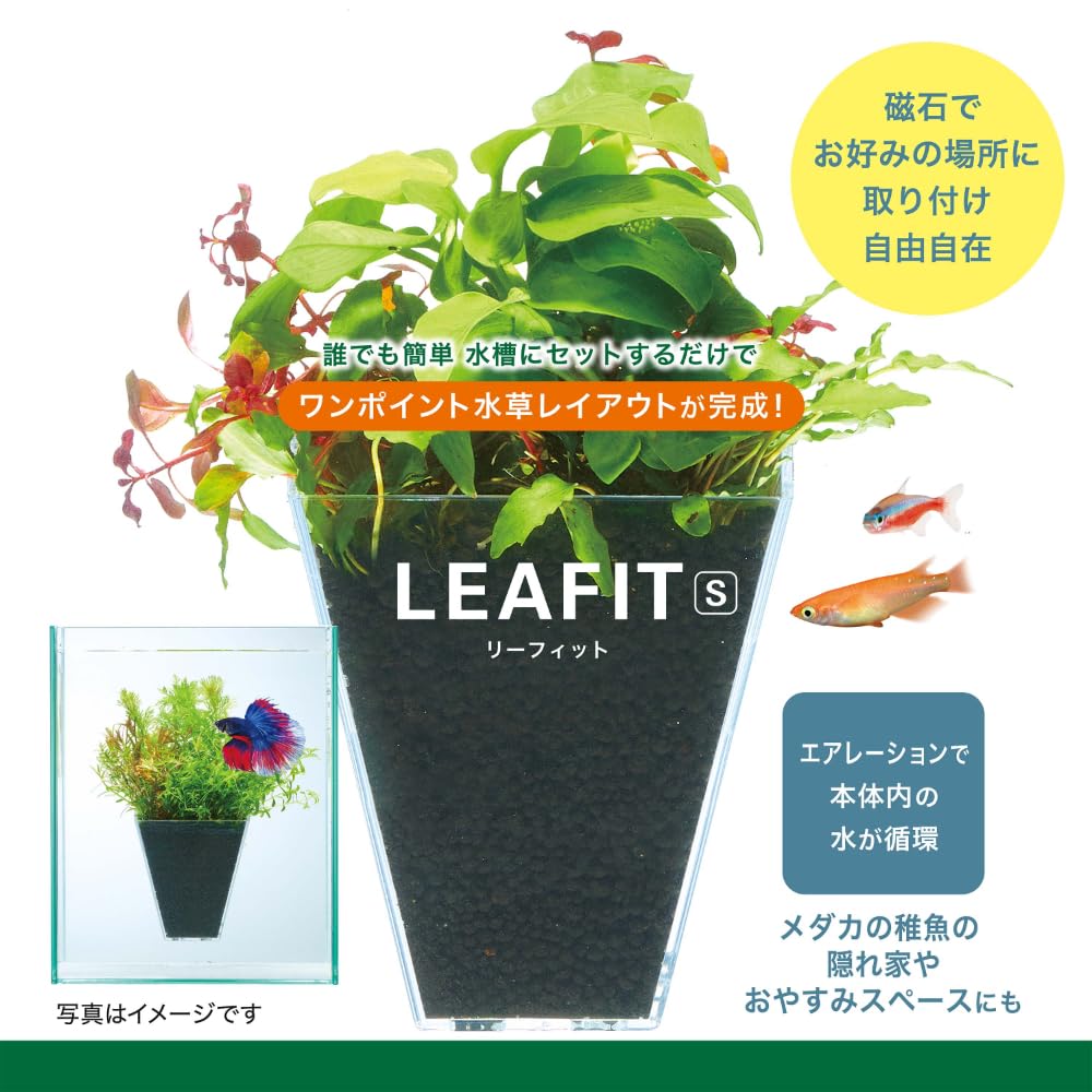 Amazon.co.jp: GEX リーフィット S 水草を簡単育成 磁石で固定 水槽に