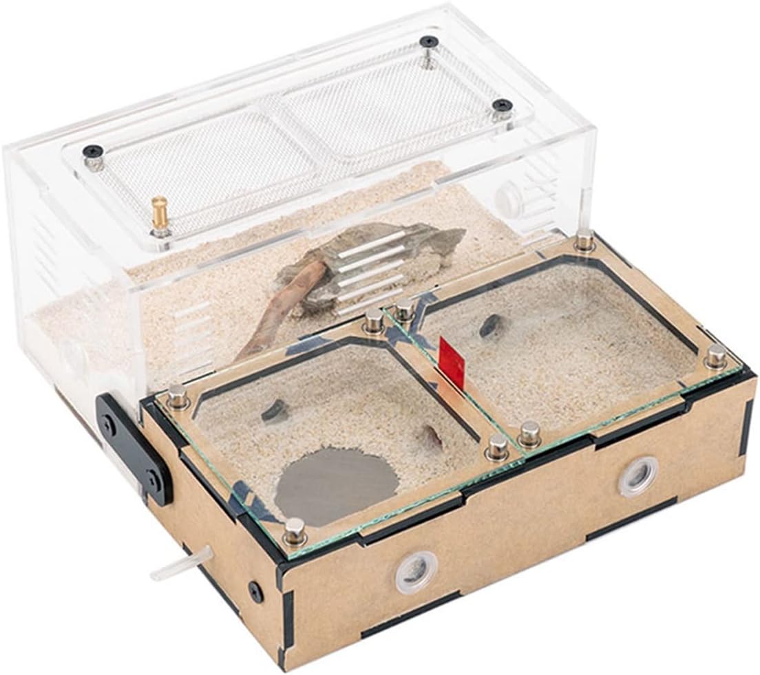 YKLL Ant Farm Concrete Ant Farm with Water Tower Ants Nest Highly Moisturizing Ant Habitat Ant House Anthill Workshop Insect Box Birthday Present Gift