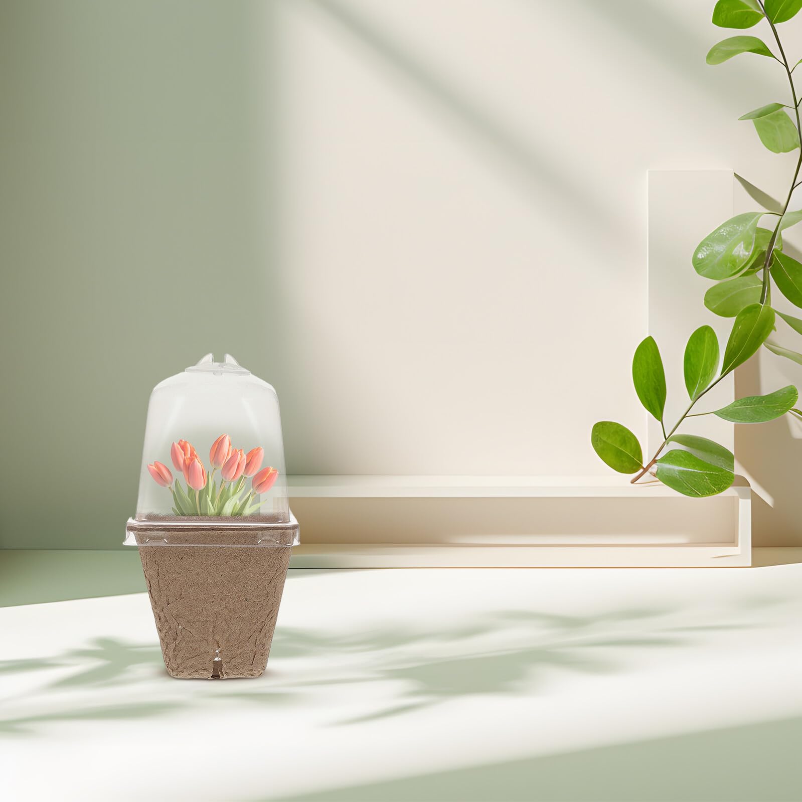 SHINEOFI 36 pièces Pots de Semis Carrés en Fibre de Papier avec Couvercle à Humidité Pots de Plantes pour Jardinage Optimisés pour Gain de Place et Croissance des Semis