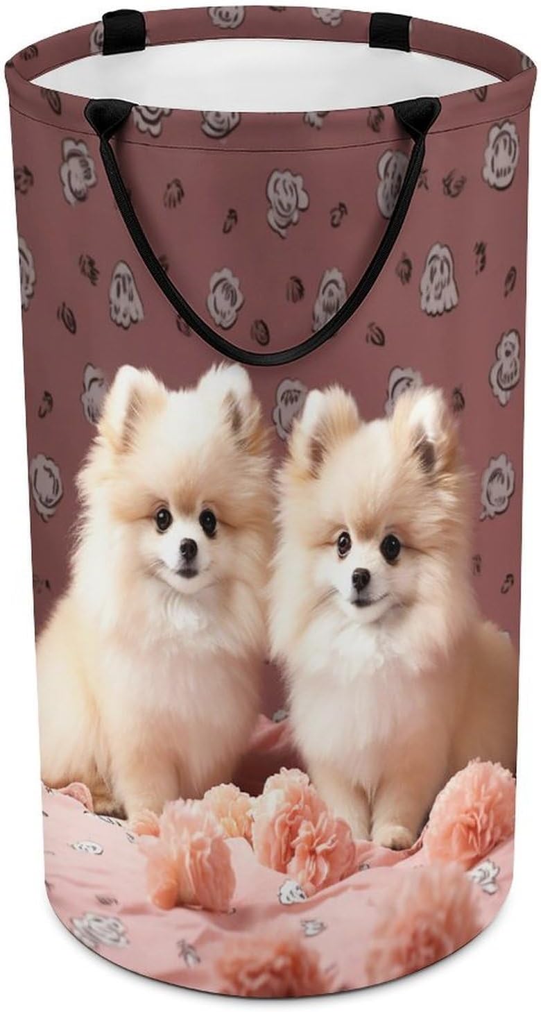 Large Laundry Hamper with Handles Pomeranians Puppies And Point Laundry Basket Freestanding Waterproof Clothes Hamper for Living Room Bedroom Bathroom College Dorm