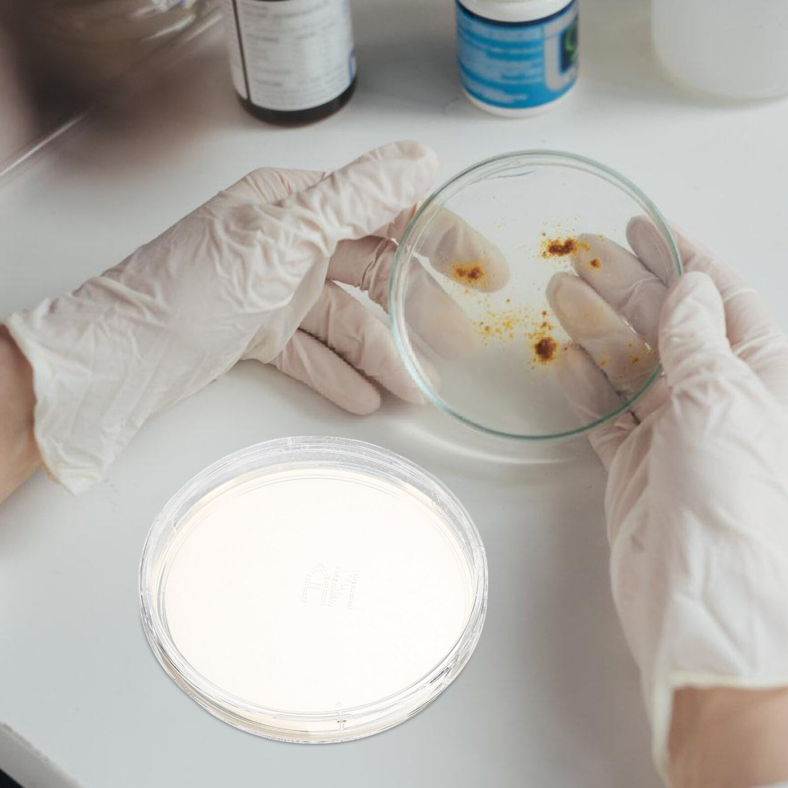 SOLUSTRE 10 Piastre di Agar Pre-versate per Laboratorio Nutriente Facili da Usare per Progetti Scientifici e Sperimentazioni Mediche