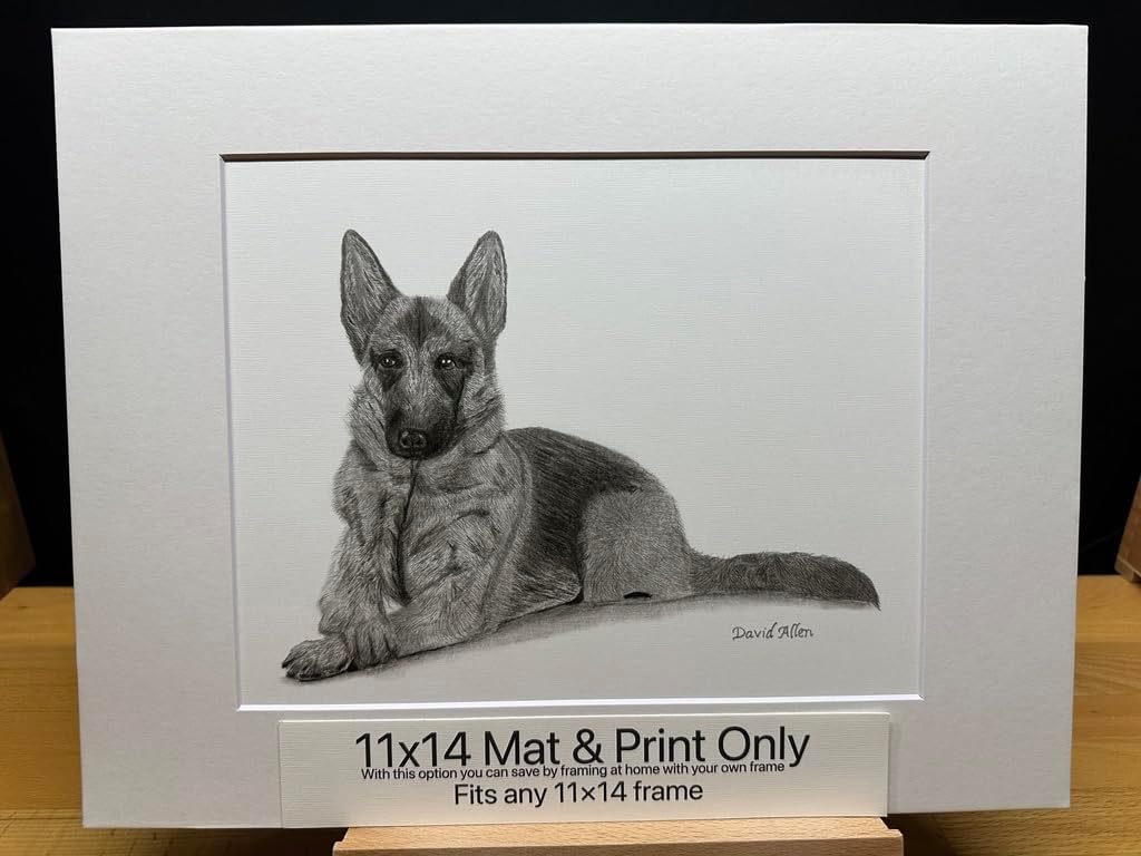German Shepherd Dog Graphite Pencil Art Sketch Drawing Print Picture Limited Edition ~ Titled 'Guardian' by David Allen (11x14 Mat & Print Only)