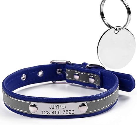 extra small cat collars