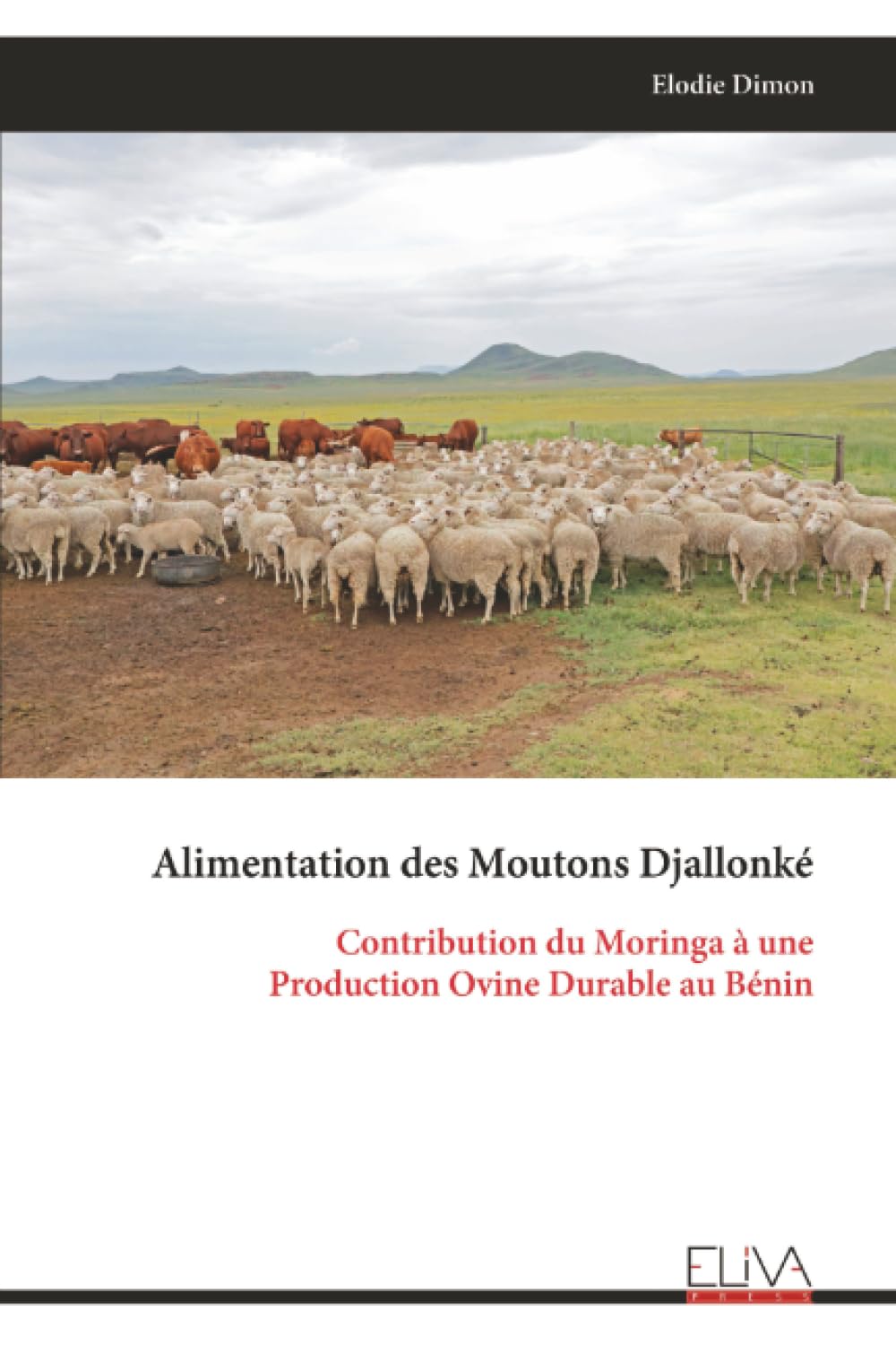 Alimentation des Moutons Djallonké: Contribution du Moringa à une Production Ovine Durable au Bénin