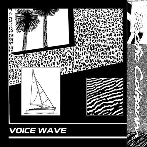 Voice Wave - Vinyl release thumbnail
