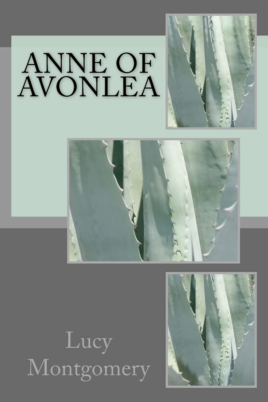 Anne Of Avonlea
