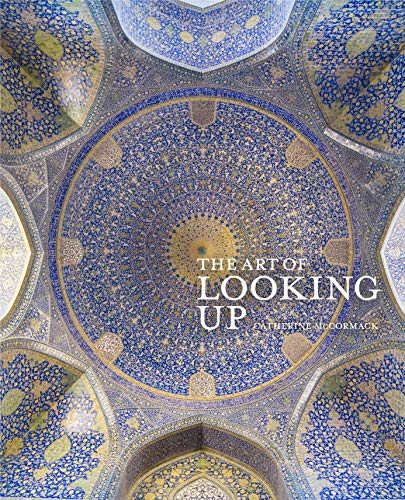 Télécharger The Art of Looking Up (English Edition) Livre PDF Gratuit