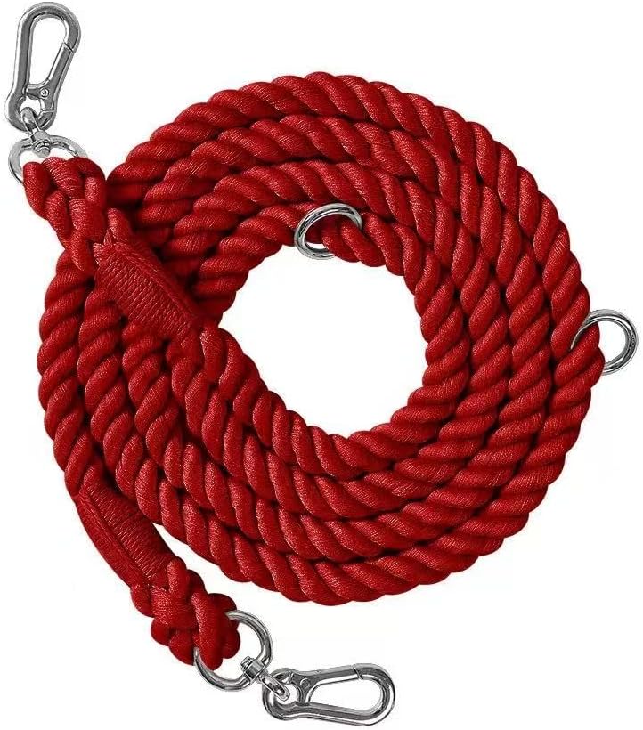 Multifunctional Dog Training Rope, Braided Nylon Leash with Metal Buckle, 63 Inch, for Running, Walking, Hands-Free Use, Multiple Colors (Pink and Purple, 250 * 1.2cm)