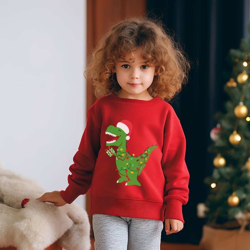 Boys Girls Christmas Sweatshirt Long Sleeve Kids Xmas Toddler Tops Santa Elk Dinosaur Pullover for 3-8T