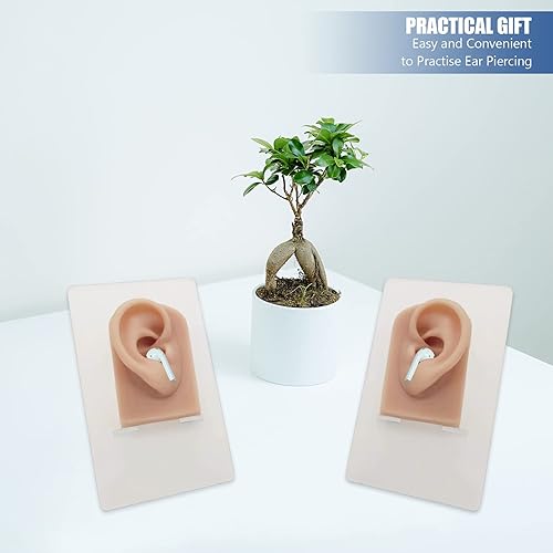 Miniatura 5 de 2 piezas de silicona modelo de oreja, con soporte acrílico, modelo flexible suave izquierdo y derecho, práctica de perforación de oreja falsa,