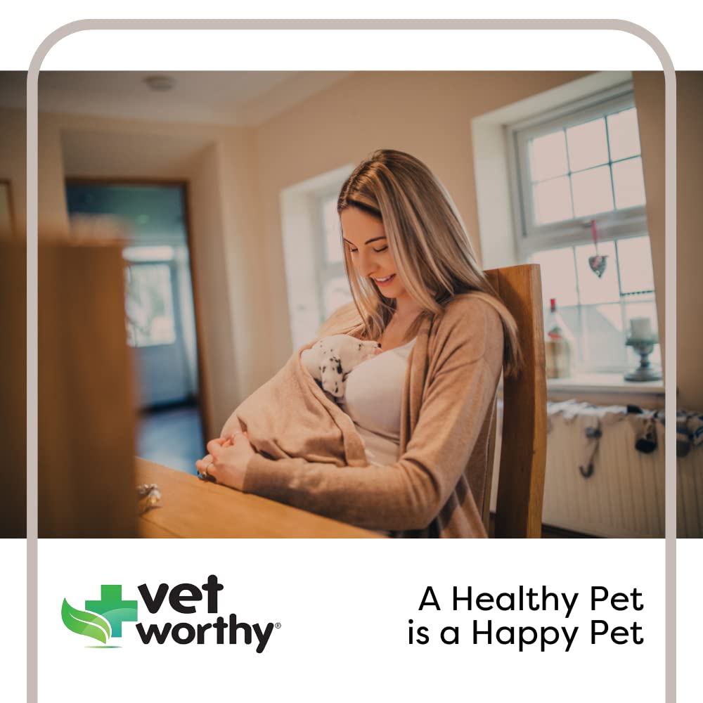 Vet Worthy Zestaw do karmienia dla psów i kotów, psów, 2 oz