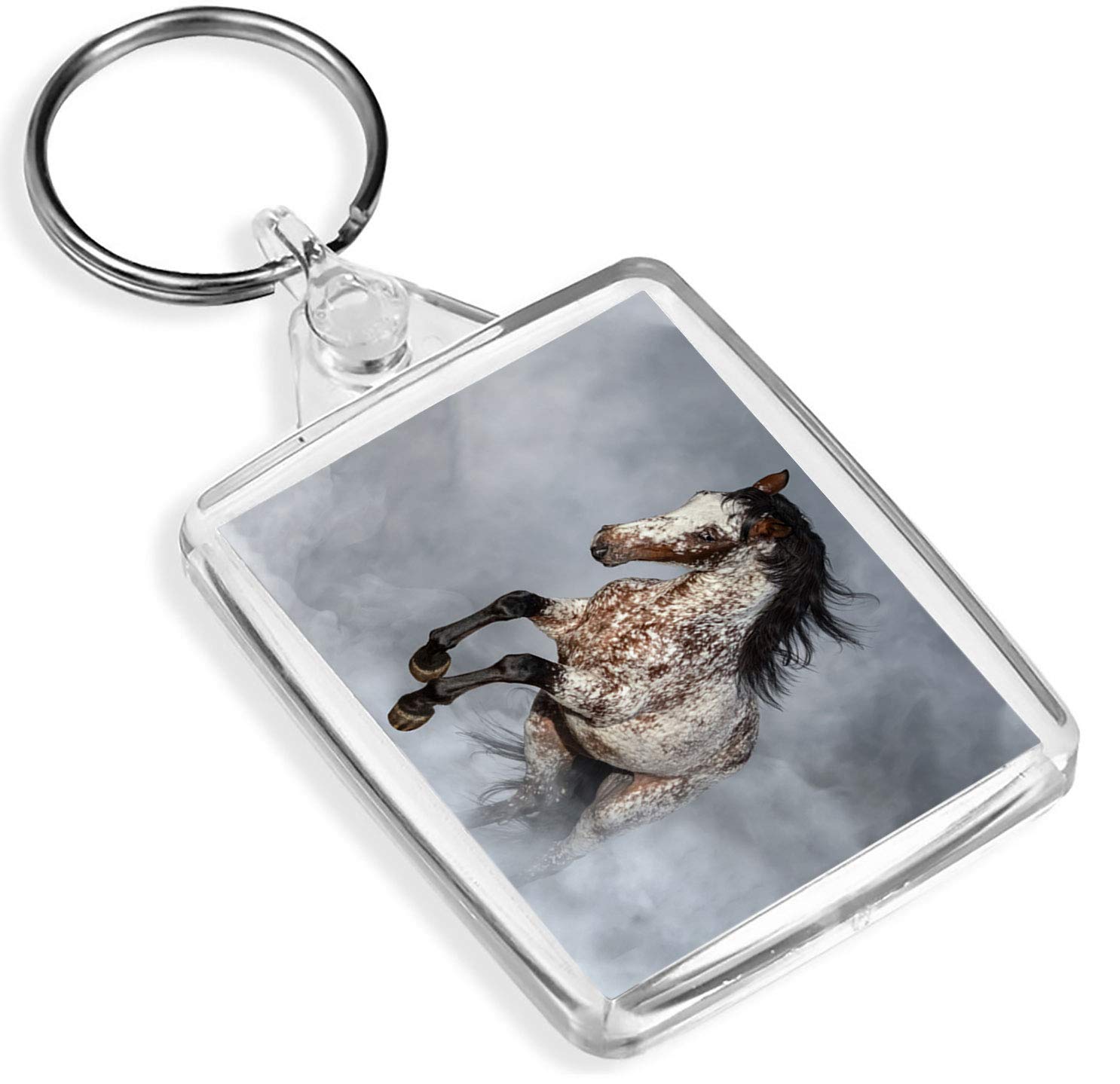 Destination Vinyl Keyrings Unisex Multi Appaloosa Horse Pony Equine Keyring - Ip02 - Animals Riding Stables #2067