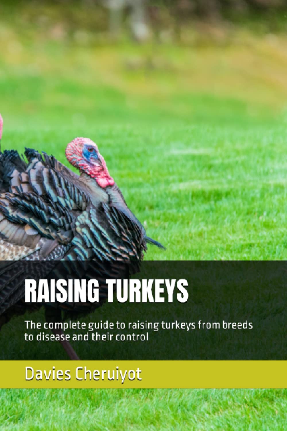 RAISING TURKEYS: The complete guide to raising turkeys from breeds to disease and their control