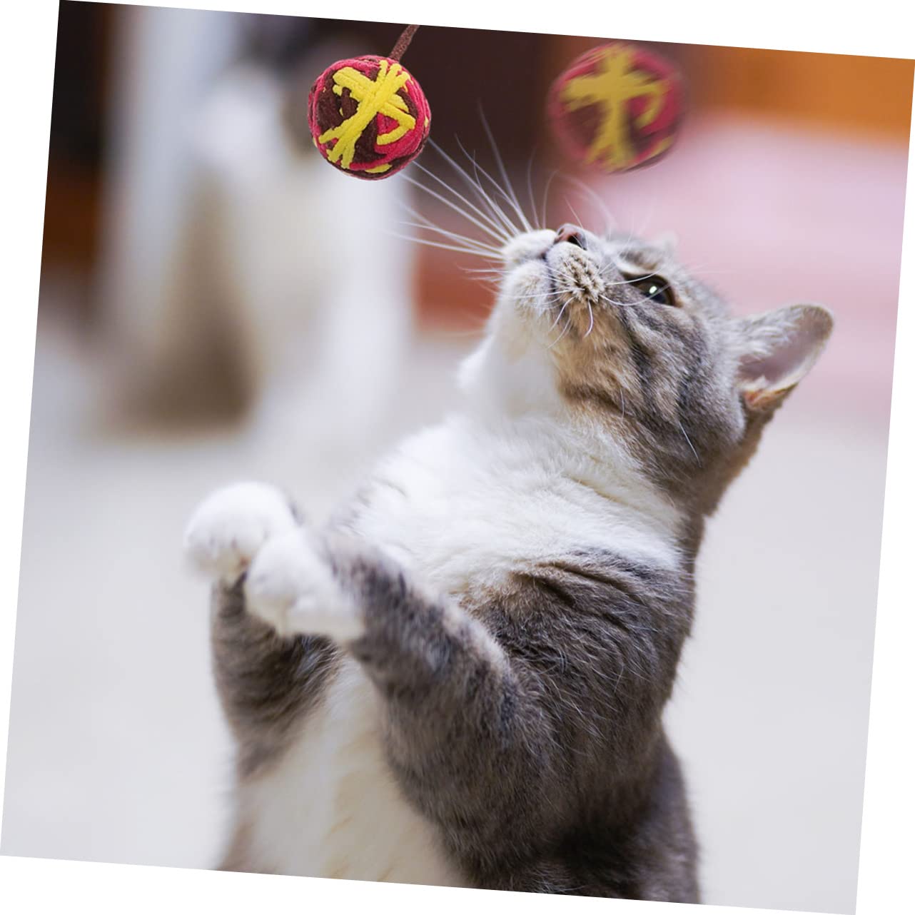 Happyyami 25pièces Jouets pour Chats avec Clochettes Accessoires Résistants pour Chats Intérieur Stimule Les Instincts De Chasse Et Préserve Vos Meubles