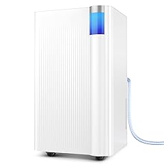 Cagstul 2500 Square Feet Dehumidifier