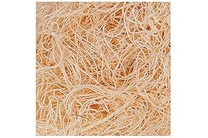 Excelsior Wood Shred - 10 Lb. Bag