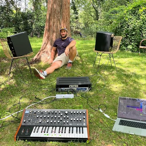 Couverture de Musical termites? What happens when you let nature sing